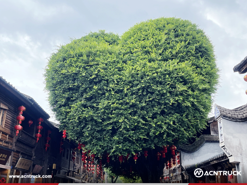 ACNTRUCK Team Visits Fuzhou: A Trip to Remember